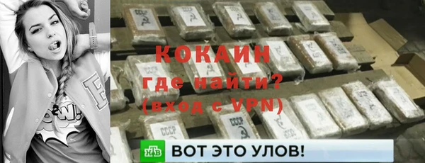 твердый Медногорск