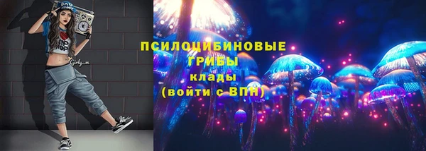 mdpv Надым