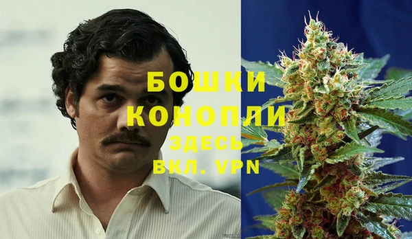 PSILOCYBIN Навашино