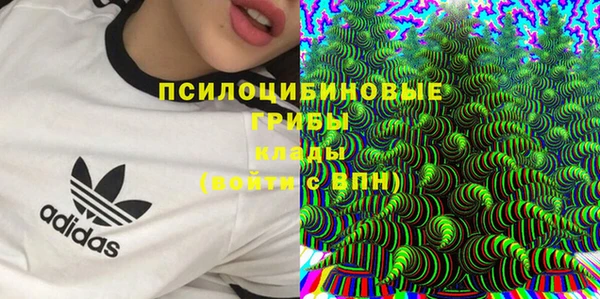 PSILOCYBIN Навашино